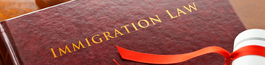 Book with title: Immigration Law